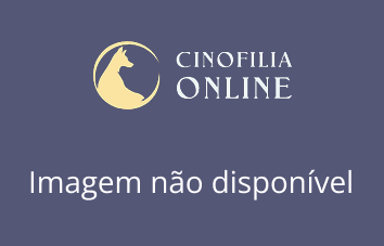 Imagem não disponível