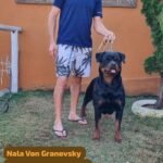 NALA VON GRANOVSKY
