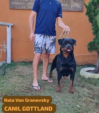 NALA VON GRANOVSKY