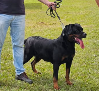 KIRA VON DER BREICHENHOLZ