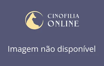 KINKA IMPERIO DOS ROTTS