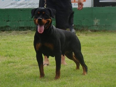 NARUSKA AXEL VON MIGLIOLI