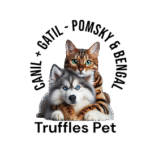 Truffles Pet Pomsky Brasil