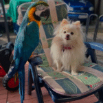 Sandoval Pickert Drews