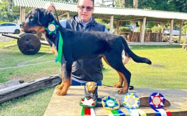 URKO VON DER BREICHENHOLZ