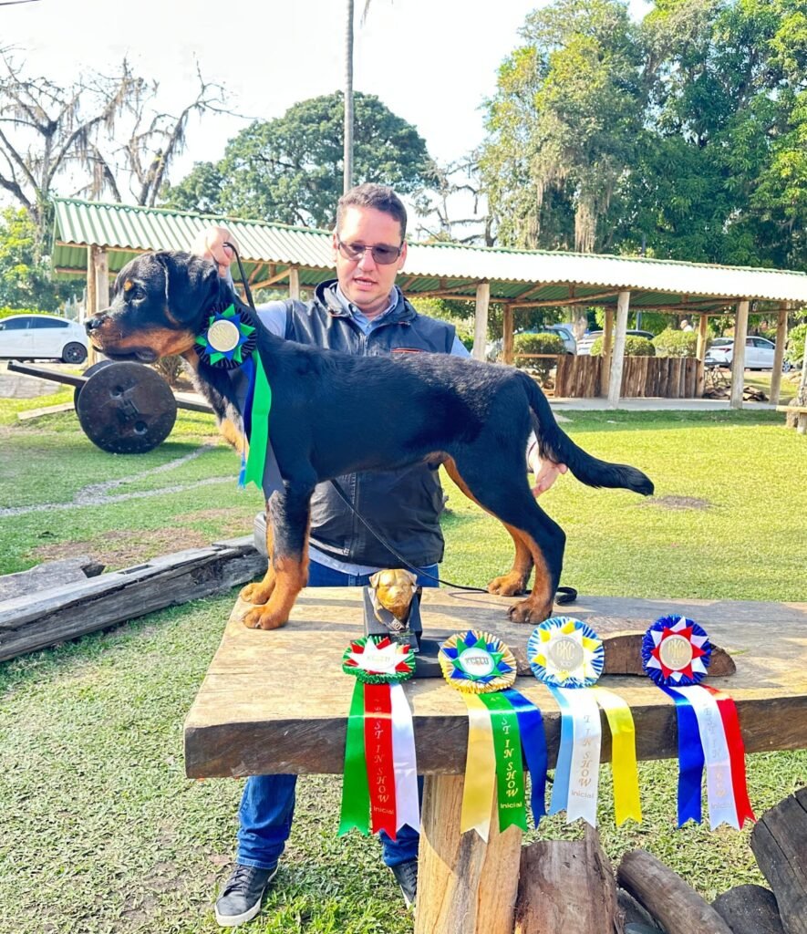 URKO VON DER BREICHENHOLZ